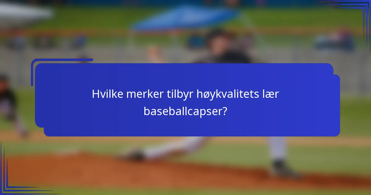 Hvilke merker tilbyr høykvalitets lær baseballcapser?